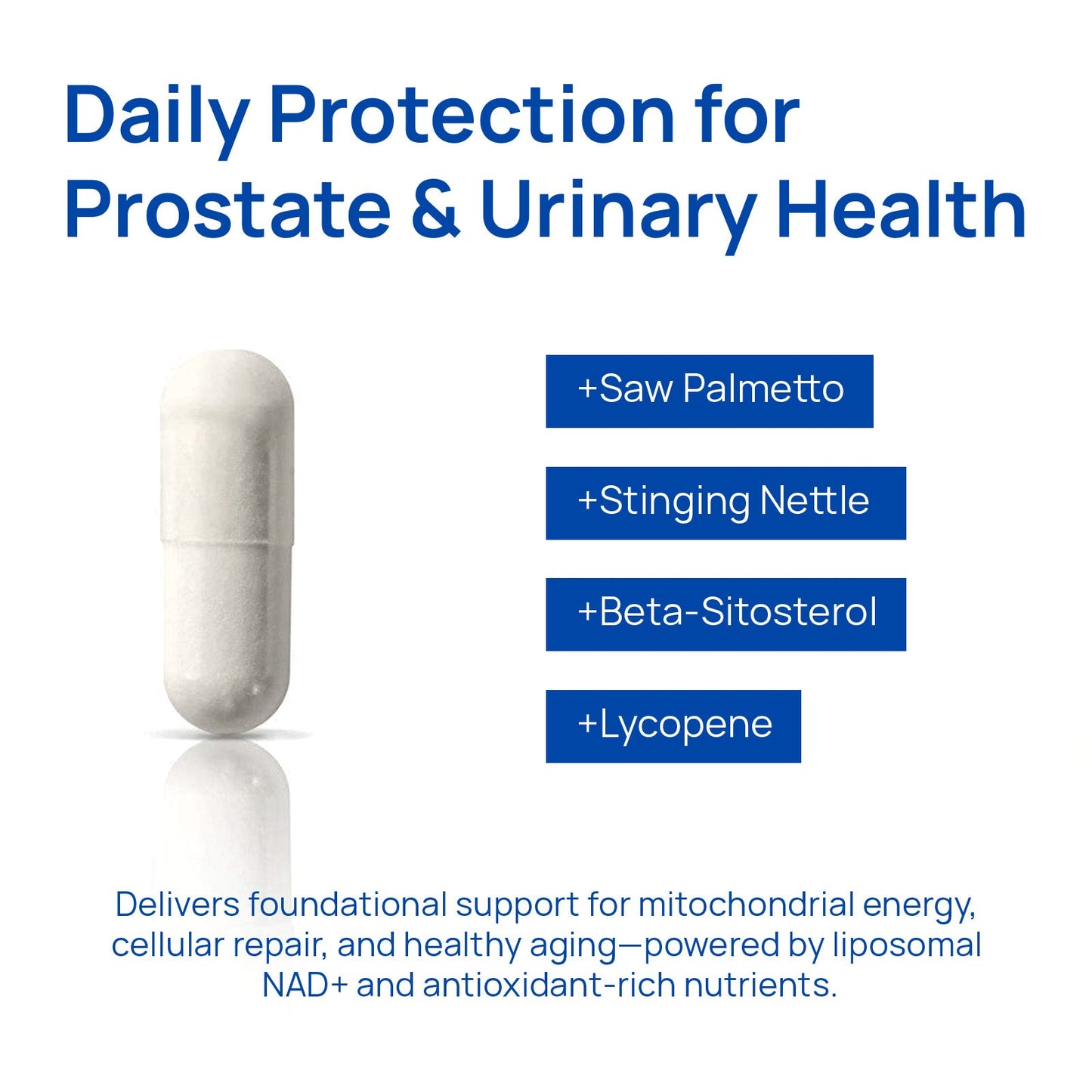 PRIMORA's NAD+ Supplement for Men