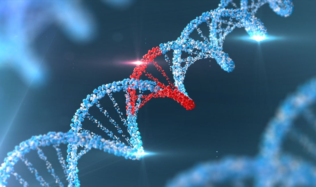 What is NAD+? The Molecule That Powers Your Life
