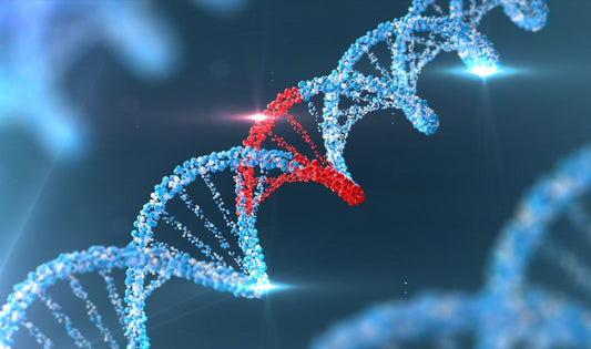 What is NAD+? The Molecule That Powers Your Life